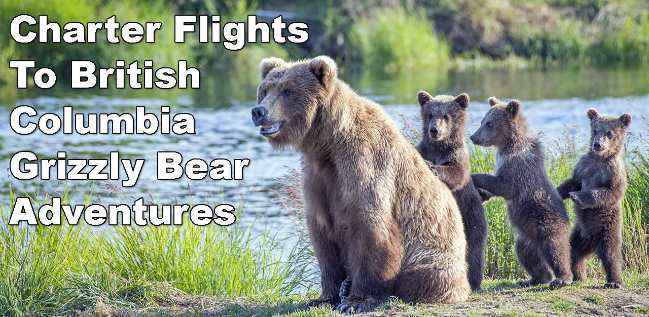 Charter Flights To Khutzeymateen
